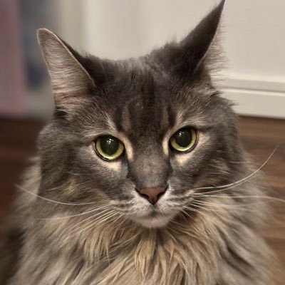 イトのプロフィール